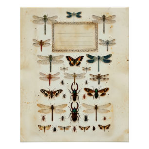 Vintage Libellenkäfer-Taxonomie-Exemplartafel Poster