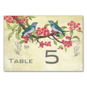 Vintage Liebesvogel Rosa Rot Türkis Blau Grün Tischnummer