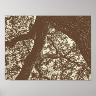 Vintage Life Print Poster