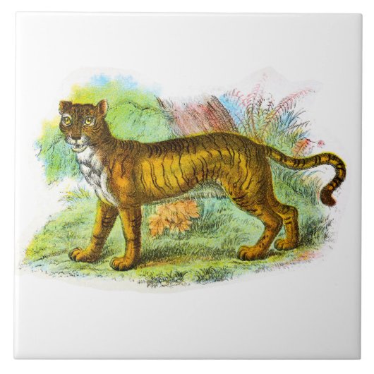 Vintage Liger- oder Löwenziger-Tierdarstellung Fliese (Vorderseite)