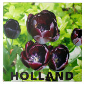 Vintage Lila Black Green Tulips Blume Holland Fliese (Vorderseite)