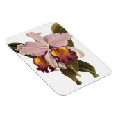 Vintage Lila Cattleya Orchid, tropische Blume Magnet (Rechte Seite)