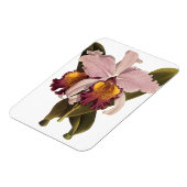 Vintage Lila Cattleya Orchid, tropische Blume Magnet (Linke Seite)