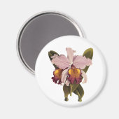 Vintage Lila Cattleya Orchid, tropische Blume Magnet (Vorderseite/Rückseite)