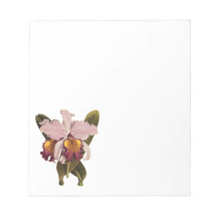 Vintage lila Cattleya-Orchidee, tropische Blumen Notizblock