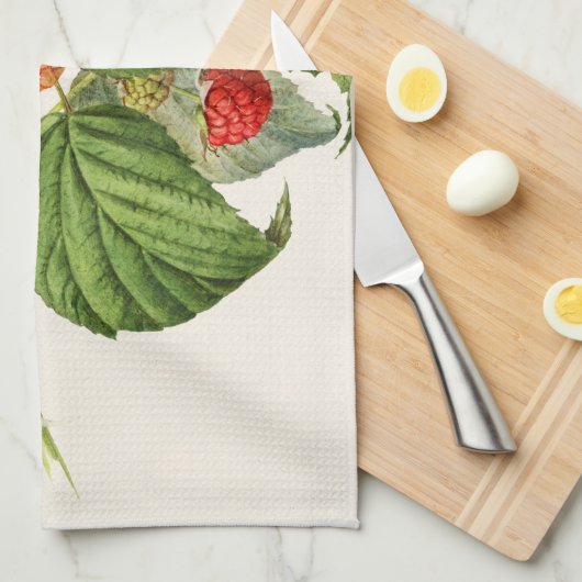 Vintage Lila Himbeere Geschirrtuch (Viertel Falte)