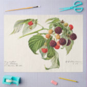 Vintage Lila Himbeere Seidenpapier (Basteln)