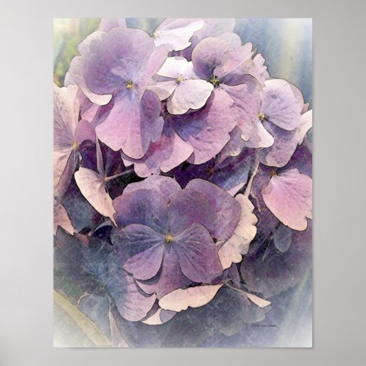Vintage Lila HydrangeasFotokunst Poster (Vorne)
