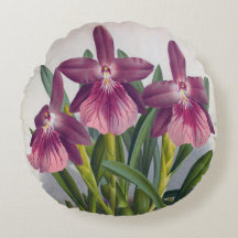 Vintage Lila Lady Orchids Miltonia Spectabilis