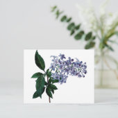 Vintage Lila Postkarte (Stehend Vorderseite)