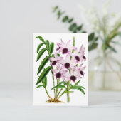 Vintage Lila Weiße Orchidee Blume Postkarte (Stehend Vorderseite)