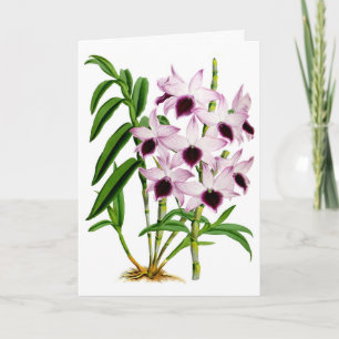 Vintage lila weiße Orchideenblüte Karte