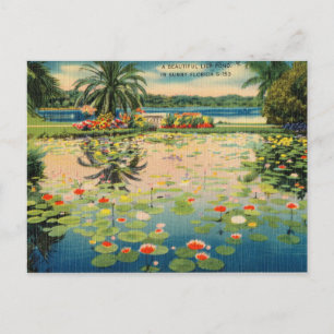 Vintage-Lilienteich im sonnigen Florida Postkarte