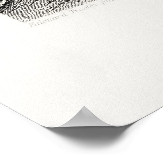 Vintage Lion Illustration Poster (Ecke)