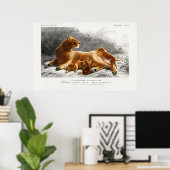 Vintage Lion Illustration Poster (Heimbüro)