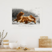 Vintage Lion Illustration Poster (Küche)