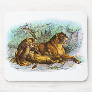 Vintage Lioness und Cubs Illustration Mousepad