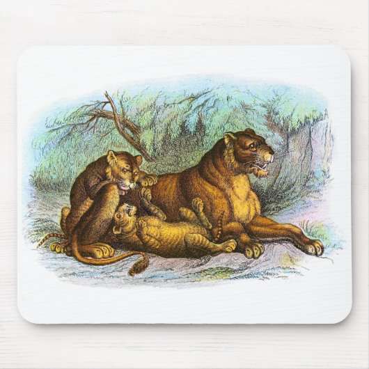 Vintage Lioness und Cubs Illustration Mousepad (Vorne)