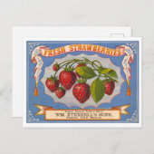 Vintage Lithographiewerbung für frische Erdbeeren Postkarte (Vorne/Hinten)