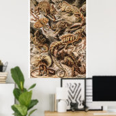 Vintage Lizard Animals von Ernst Haeckel Poster (Heimbüro)