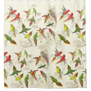 Vintage Lorikeet Papageien-Vogel-Tier-Tiere Duschvorhang