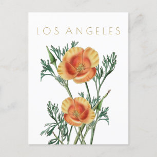 Vintage Los Angeles Staat Blume Reise Mitte Jahrhu Postkarte