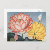 Vintage Lotus-Blume, die heilige ägyptische Bean Postkarte (Vorne/Hinten)