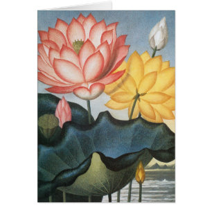 Vintage Lotusblumen, Die Heilige Ägyptische Bohne