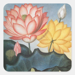 Vintage Lotusblumen, die heilige ägyptische Bohne Quadratischer Aufkleber