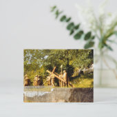 Vintage Lourdes, Kreuzstationen Postkarte (Stehend Vorderseite)