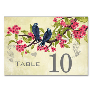 Vintage Love Bird Pink Türkis Blau Grün Tischnummer