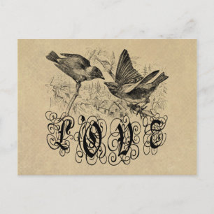 Vintage Love Birds Bekleidung und Geschenke Postkarte