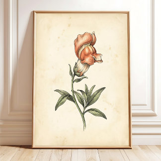 Vintage Löwenmäulchen Botanische Wandkunst Leinwan Poster