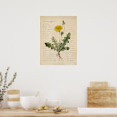 Vintage-Löwenzahn-Botanikposter-Illustration Poster (Küche)