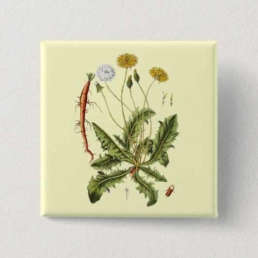 Vintage Löwenzahn-Illustration Button (Vorderseite)