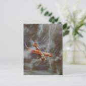 Vintage Luftpostkarte Postkarte (Stehend Vorderseite)