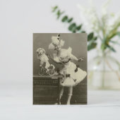 Vintage, lustige Frau, verkleidet als Poodle Postkarte (Stehend Vorderseite)