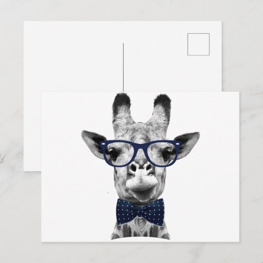 Vintage lustige Giraffe Postkarte (Vorne/Hinten)