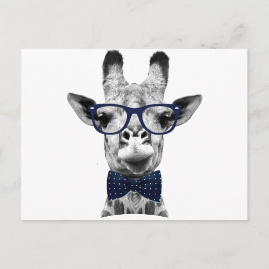 Vintage lustige Giraffe Postkarte (Vorderseite)