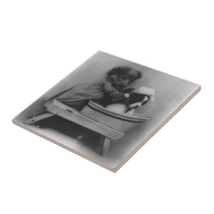 Vintage lustige Haustier-Fotografie der Fliese