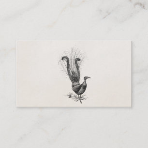 Vintage-Lyrenvogel-Lyrebird-Illustrationsvorlage Visitenkarte
