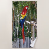Vintage Macaw-Parrot-Insel Strandtuch (Vorderseite)