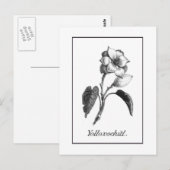 Vintage Magnolia-Blume-Ätzkarte Postkarte (Vorne/Hinten)