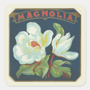 Vintage Magnolia-Blume Quadratischer Aufkleber