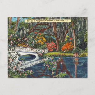 Vintage Magnolia Gardens Charleston South Carolina Postkarte
