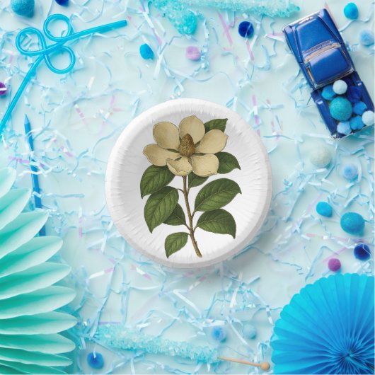 Vintage Magnolia Pappteller (Party)