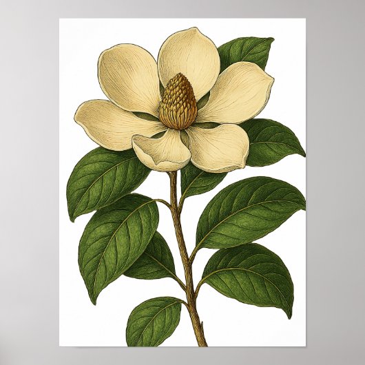 Vintage Magnolia Poster (Vorne)
