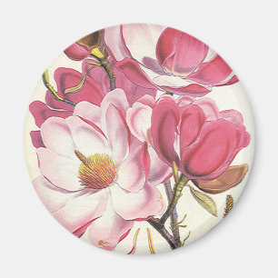 Vintage Magnolia Tree Blossom, Rosa Garten Blume Magnet
