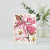Vintage Magnolia Tree Blossom, Rosa Garten Blume Postkarte (Stehend Vorderseite)