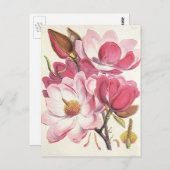 Vintage Magnolia Tree Blossom, Rosa Garten Blume Postkarte (Vorne/Hinten)